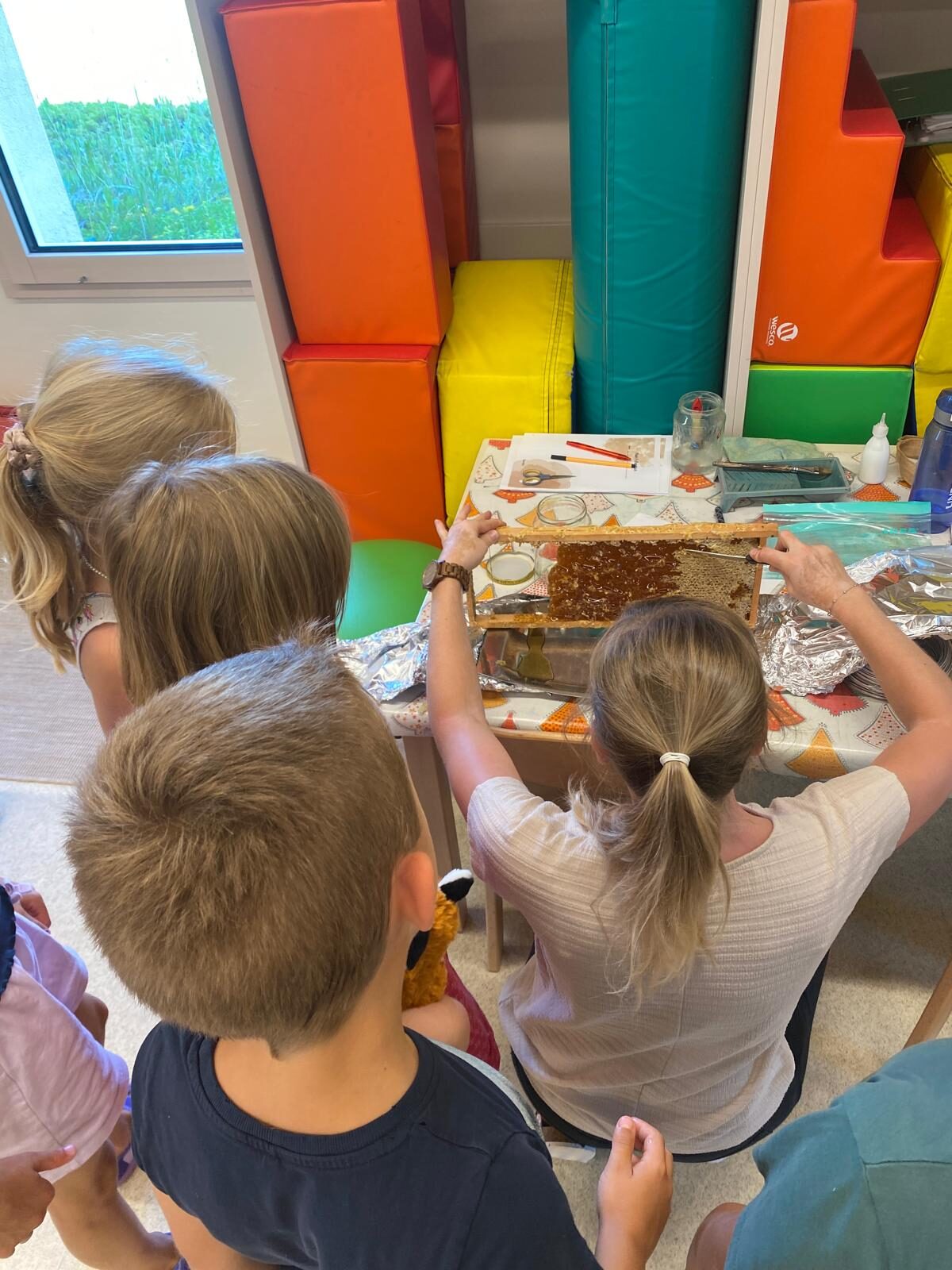 Kinder betrachten gemeinsam eine Honigwabe